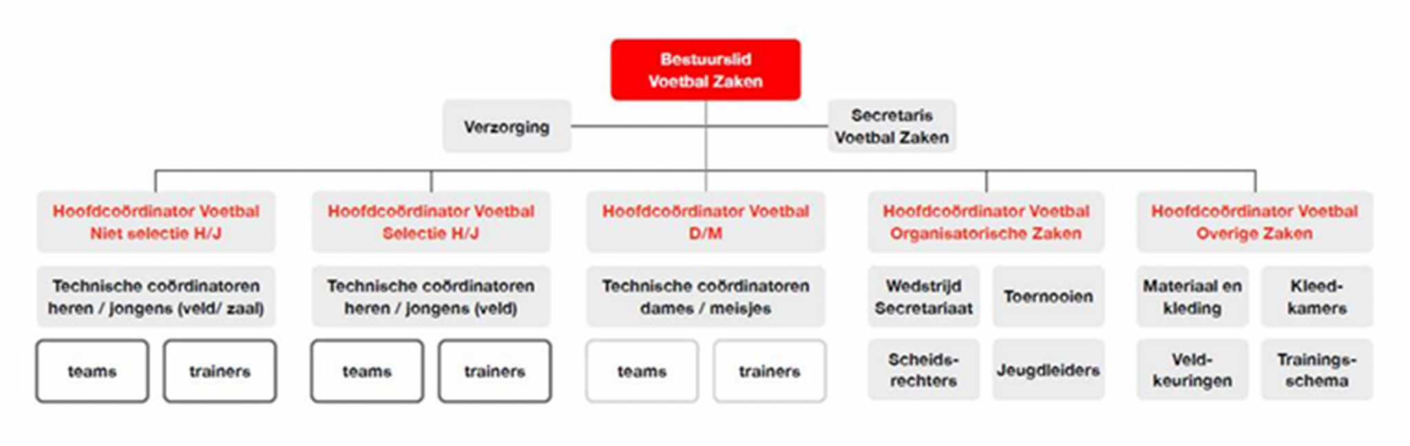 Organogram